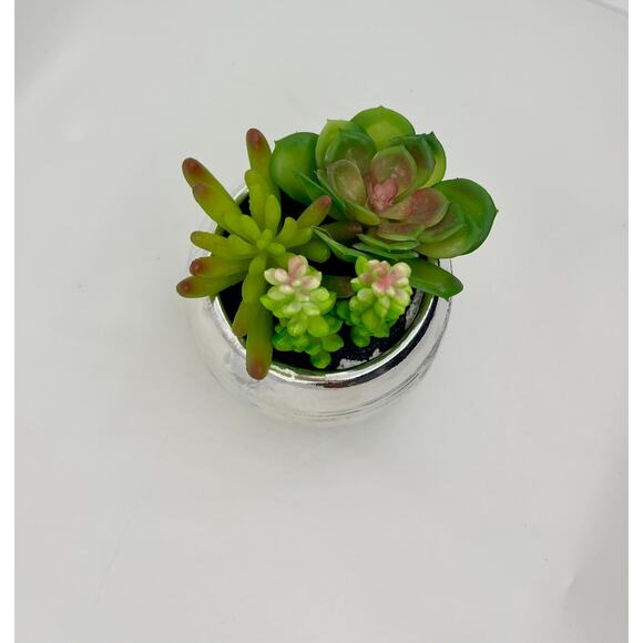 Artificial Plants Cute Colourful Succulents in Silver Planter Fake Colorful 5” - Picture 2 of 4